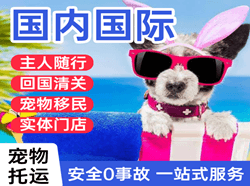 长安航空货运国际宠物托运 【国